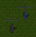 Thumbnail for version as of 06:13, 9 March 2025
