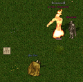 Thumbnail for version as of 02:13, 29 April 2025