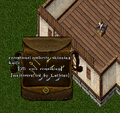 Thumbnail for version as of 06:03, 4 April 2025