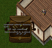 Example: Items before consolidation