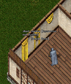 Thumbnail for version as of 06:03, 4 April 2025