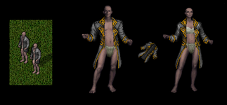 Officer Dress Jacket (Outer Torso)